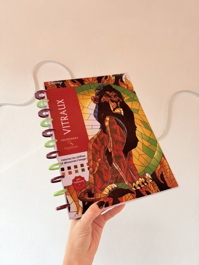 Libro para pintar Vitraux