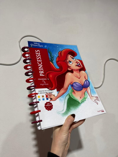 libro Princesas