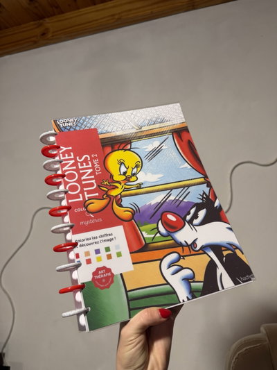 Libro colorear looney toones