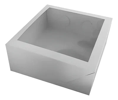 CAJA BLANCA C/ VISOR 22x22x11