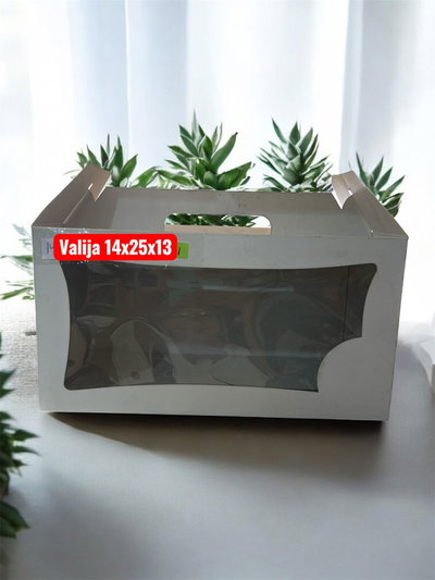 CAJA VALIJITA C/VISOR 14X25X13