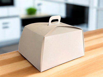 CAJA  P/ PORCION 15x20x10 