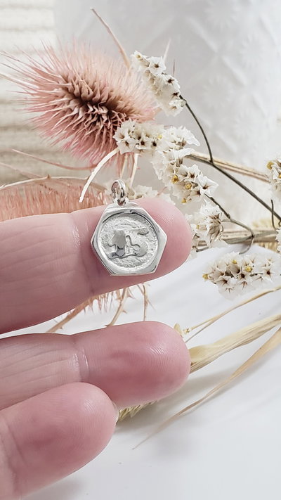 Medalla de Plata 15 años