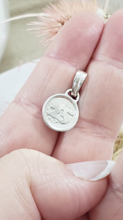 Medalla de Plata 15 años