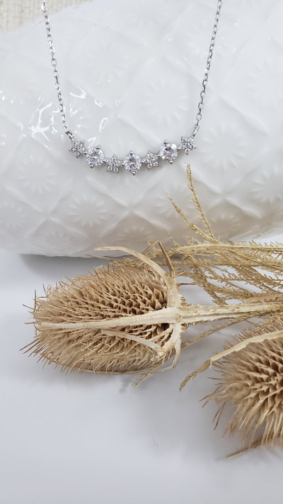 Gargantilla de Plata