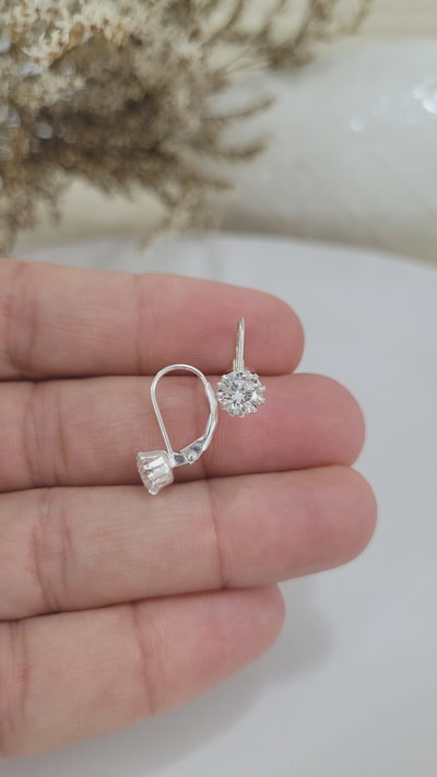 Aros de Plata (AR1347/1365)