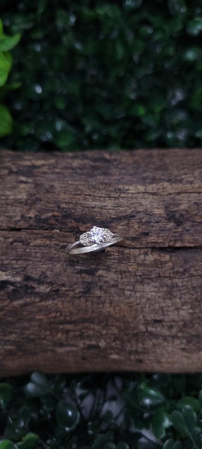Anillo de Plata (AN1325/0545)