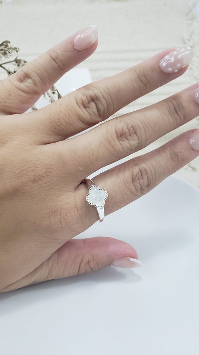 Anillo de Plata (AN1341/2395)