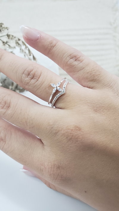 Anillo de Plata (AN1339/1630)