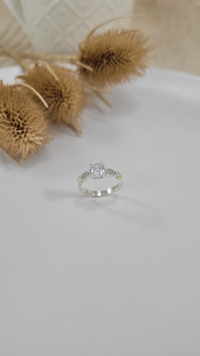 Anillo de Plata (AN1327/1980)