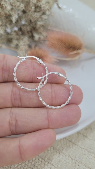 Aros de Plata (AR1269/1730)