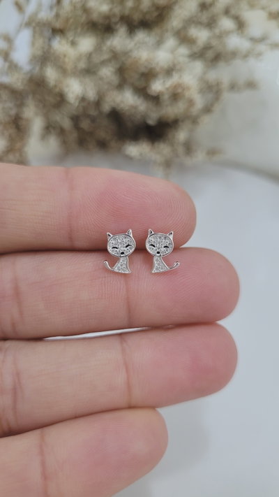 Aros de Plata (AR1324/0975)