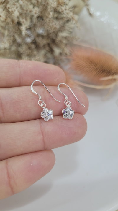 Aros de Plata (AR1294/0595)