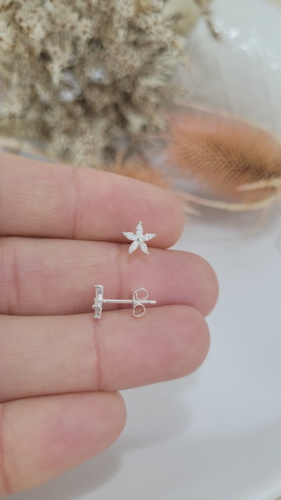 Aros de Plata (AR1264/0945)