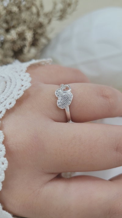 Anillo de Plata (AN1363/0875)
