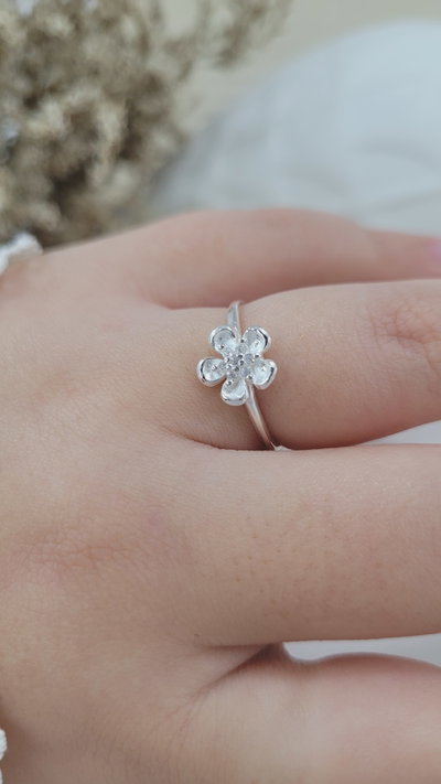 Anillo de Plata (AN1360/0795)