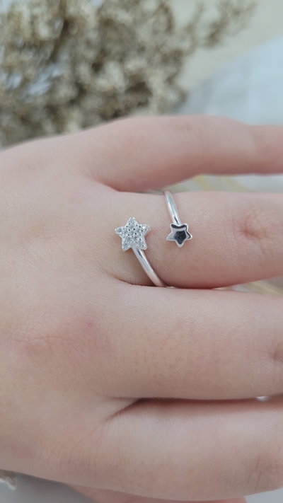 Anillo de Plata (AN1370/0850)