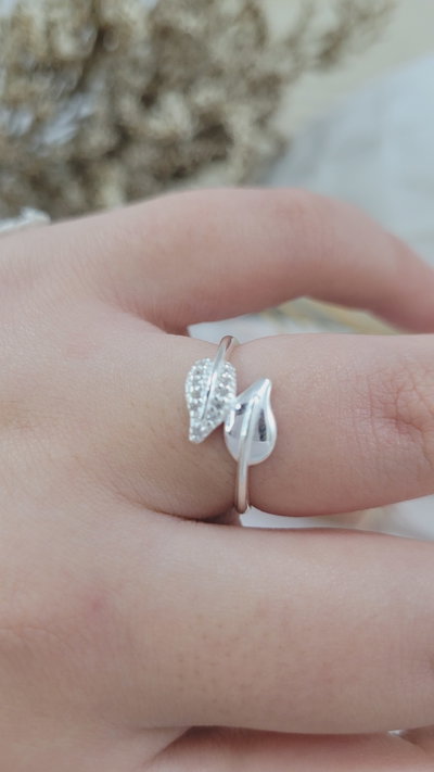 Anillo de Plata (AN1379/0985)