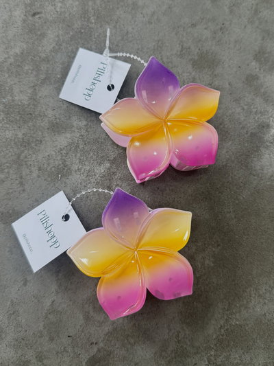 Broche Flor Colorida 