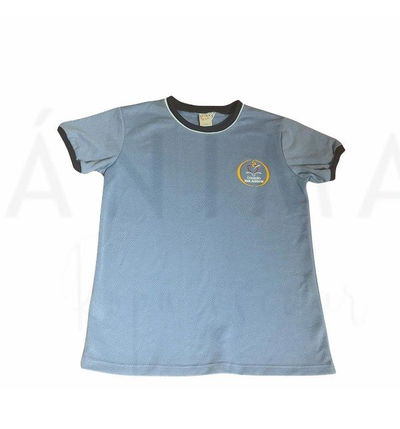 REMERA DEPORTIVA PIQUE