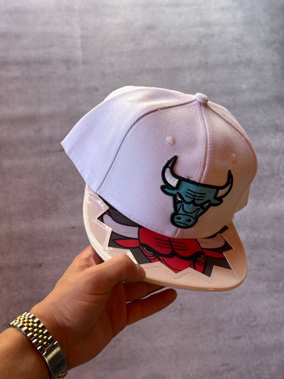 Gorra Plastificada Bulls Adjustable