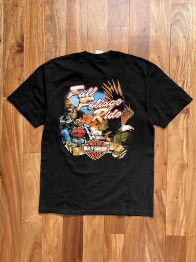 Remera Harley Davidson 2004 T.M