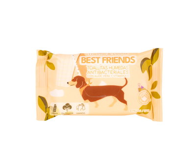 TYL Toallitas Húmedas Antibacterial Best Friend