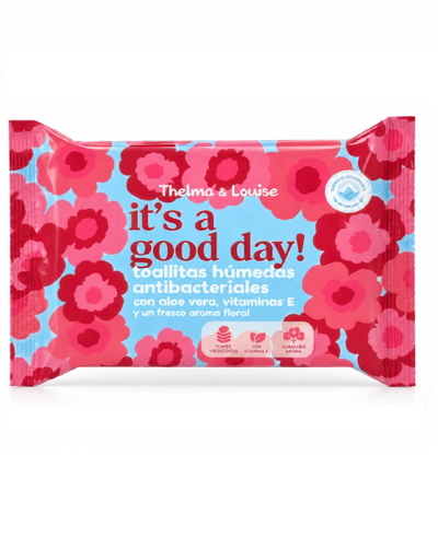 TYL Toallitas Húmedas Antibacterial Its a Good Day