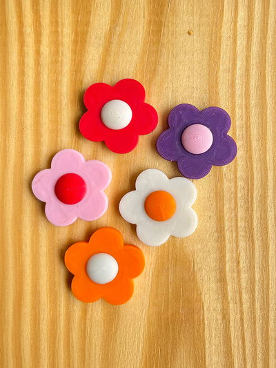 Pack de Imanes Florales x5