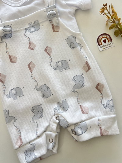 Jardinero Elefante + Remera 