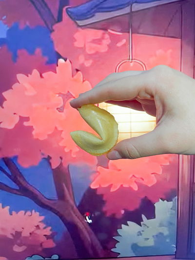 Galletas de la fortuna FAMILY (4 unidades)