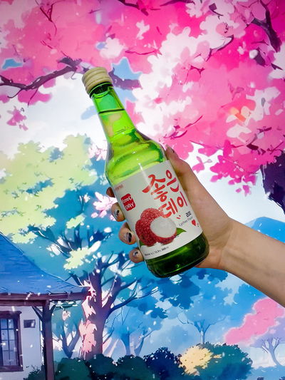 Soju GOOD DAY Lychee