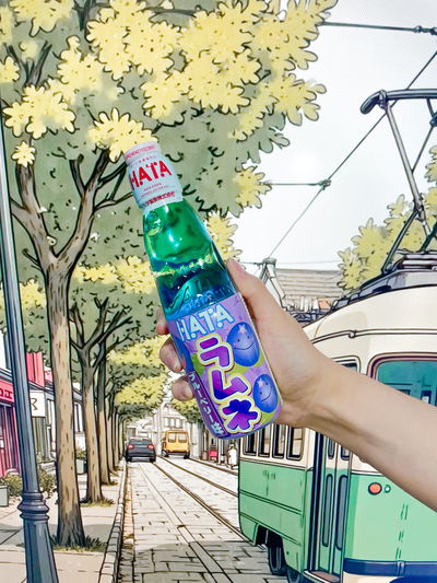 Ramune HATA Arándanos