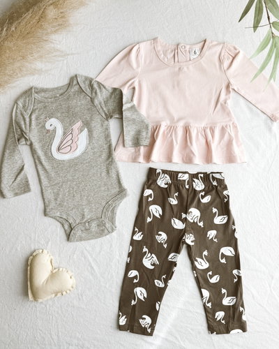Conjunto Cisne 