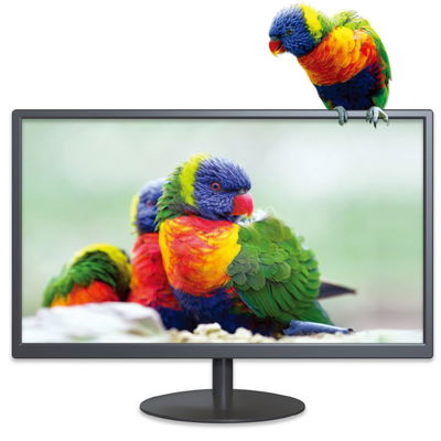 MONITOR 20" X-MICRO 75HZ