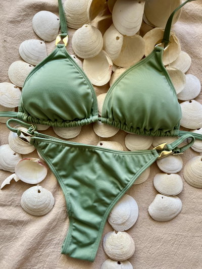 Bikini Moss