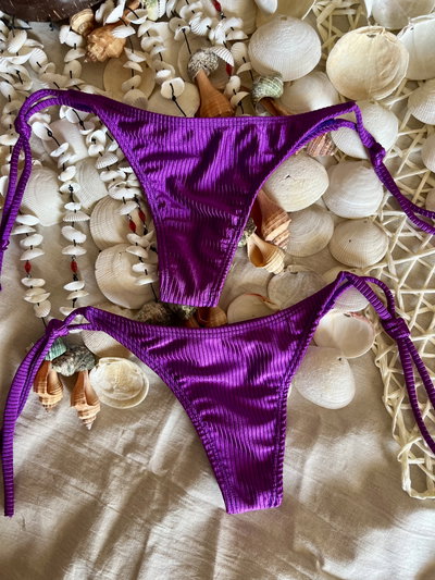 Bombis violeta morley