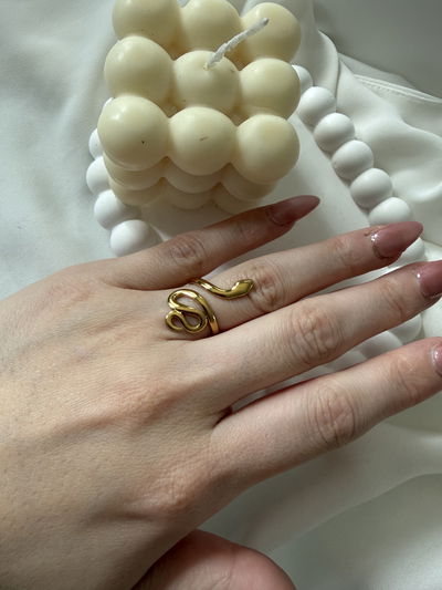 Anillo serpiente 