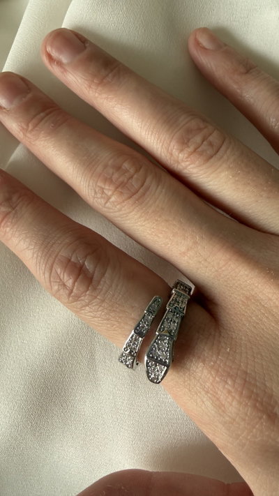 Anillo de serpiente 