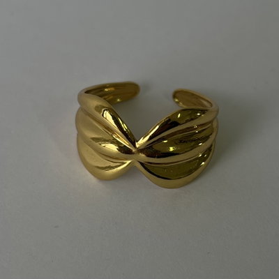 Anillo AD21