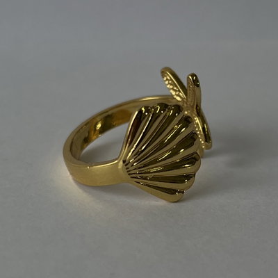 Anillo AD22