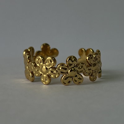 Anillo AD7