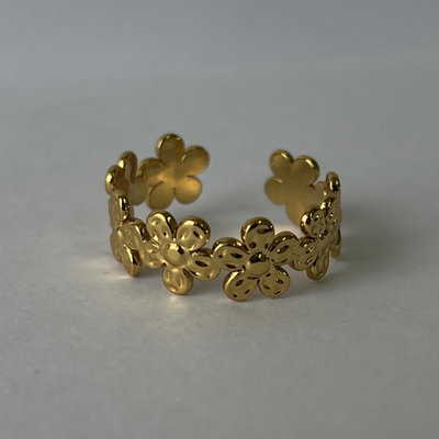 Anillo AD7