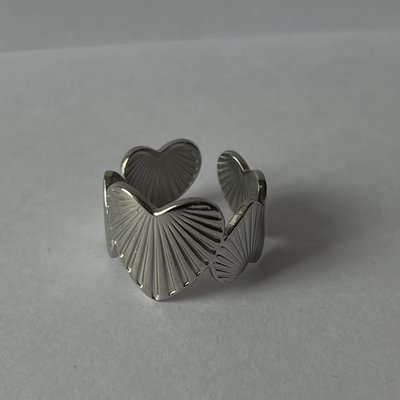 Anillo AP6