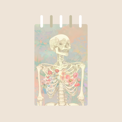 Fichero N°3 Portada Anatómico