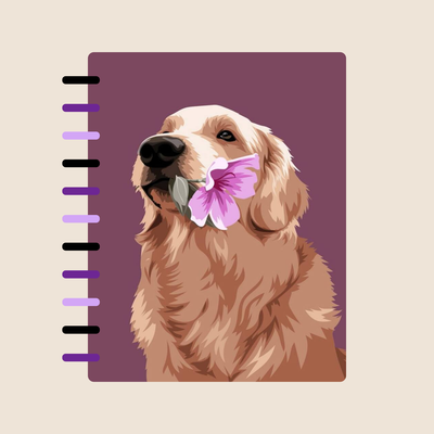 Cuaderno A4 Portada Samy