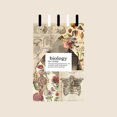 Fichero N°3 Portada Biology