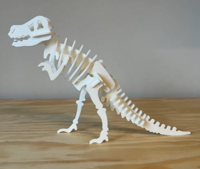 Kit de tarjeta  T-Rex 