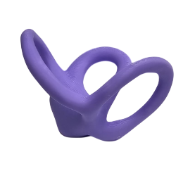 Sistema Vestibular