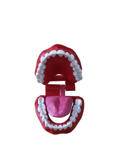 Boca articulada 